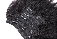 Ms Fenda Brazilian Virgin Hair Natural Color 4b-4c Afro Kinky Curly Clip In Hair Extensions
