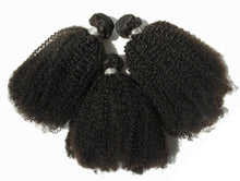 Ms Fenda Brazilian Virgin Human Hair Weaving Wefts 3 Bundles 1 piece 4x4 closure (Afro Kinky Curly)