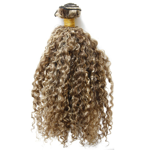 Ms Fenda 100% Virgin Malaysian Human Hair 3B 3C S-Curly Piano Color P4/27 Weaving Wefts